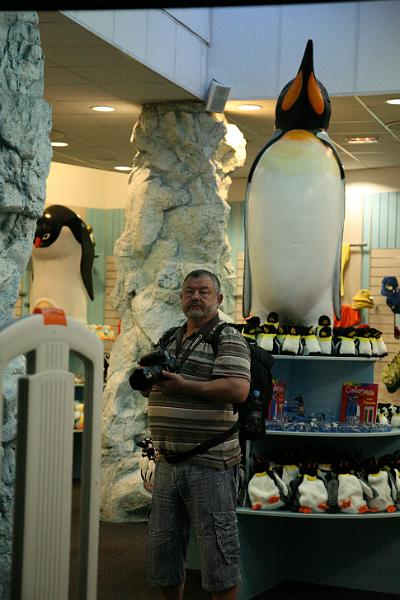 Pinguin - Co25.jpg